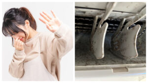 エアコンクリーニングにおい　カビ