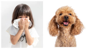 エアコンクリーニング　ペット　子供　咳